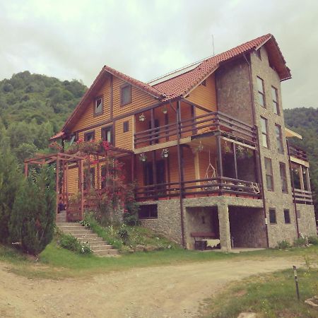 Cabana Soarelui Retezat Nucsoara  Exterior photo