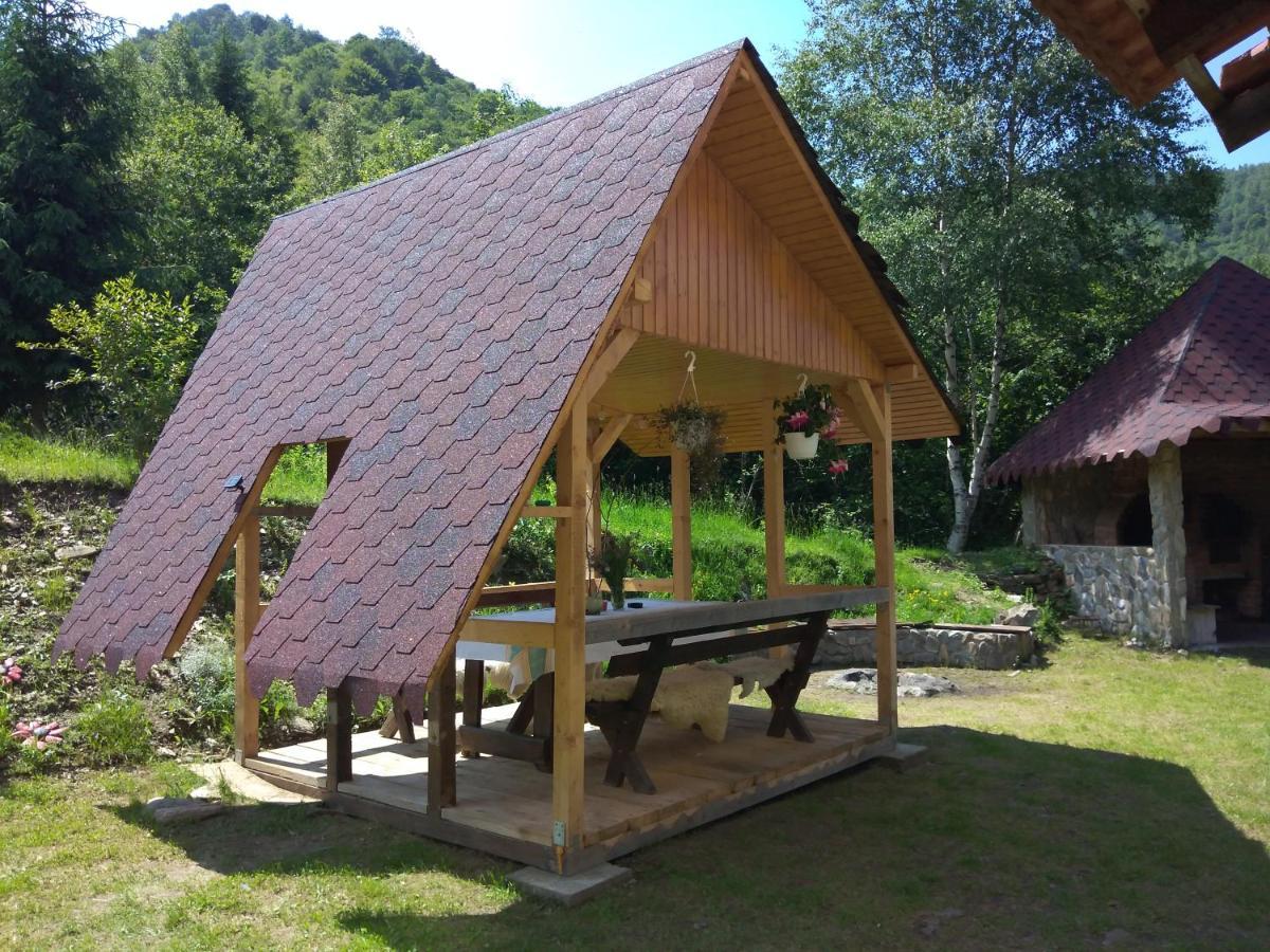 Cabana Soarelui Retezat Nucsoara  Exterior photo
