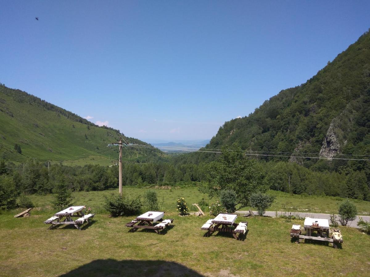 Cabana Soarelui Retezat Nucsoara  Exterior photo