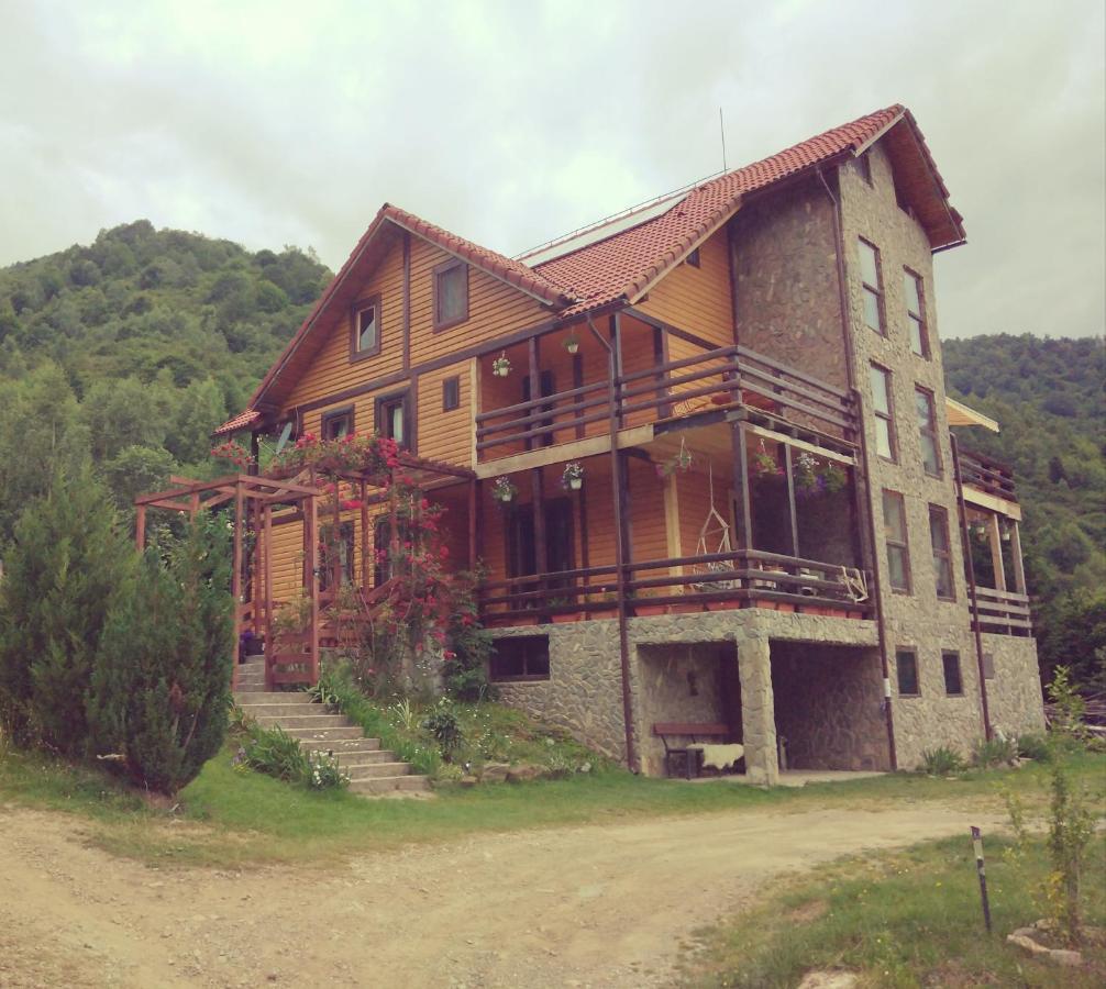 Cabana Soarelui Retezat Nucsoara  Exterior photo