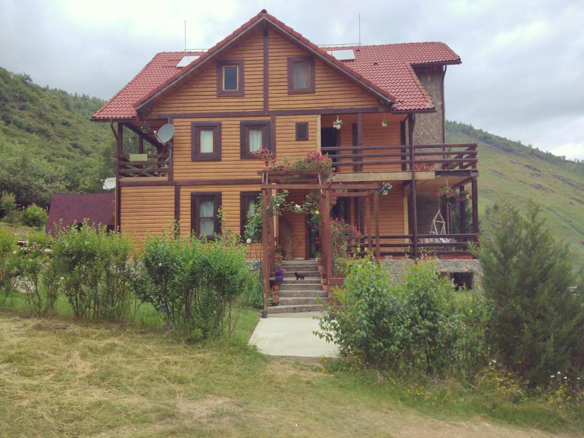 Cabana Soarelui Retezat Nucsoara  Exterior photo